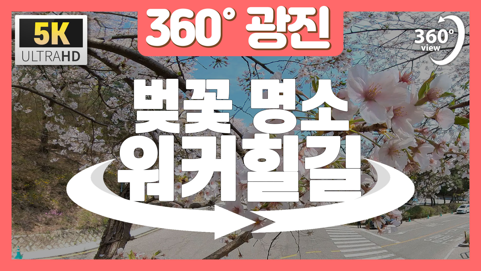 [360°광진] 벚꽃 명소 워커힐길