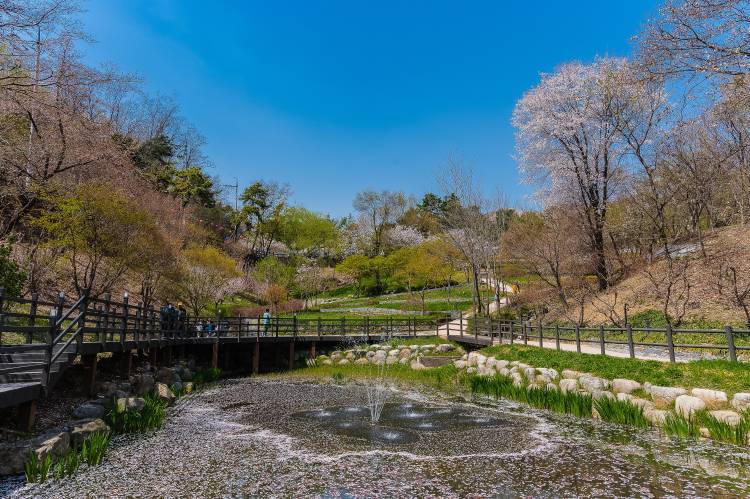 용마산근린공원