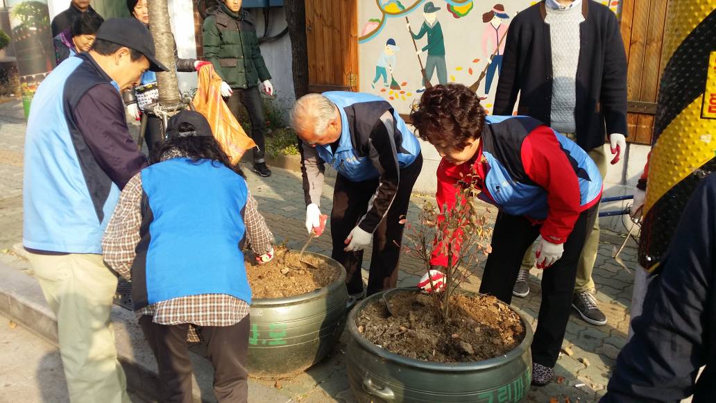 중곡4동 긴고랑길 보리식재