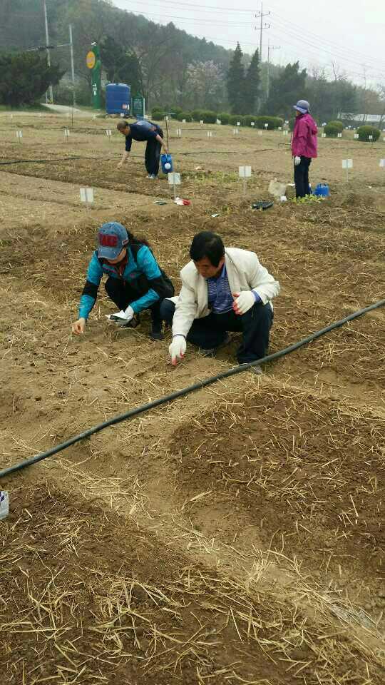 삼봉리 주말농장 운영관리