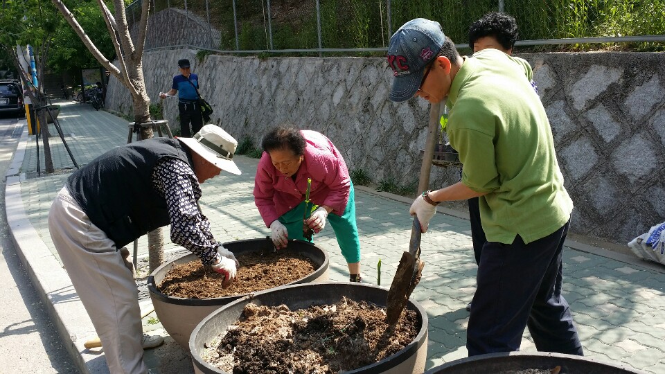 긴고랑길 칸나모종 식재