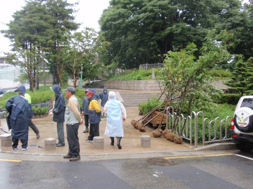 정자공원 나무심기행사(2011.6.24)