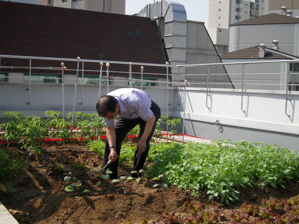 옥상친환경사업관리모습1