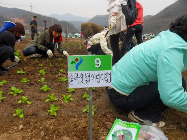 주말농장<샛별어린이집과 함께2>