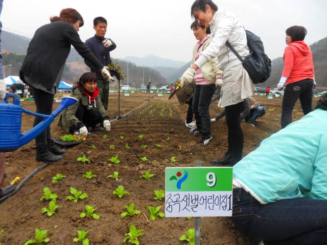 주말농장<샛별어린이집과 함께>