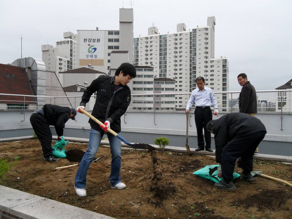 자양4동옥상자연친화사업모습3