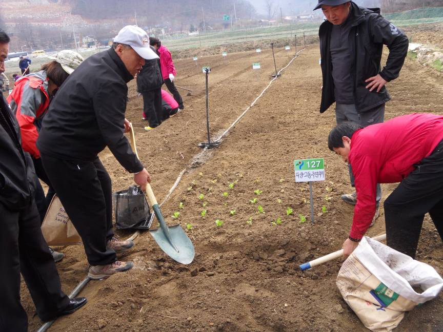 지난4월 10일에 주말농장에 다녀왔어요~