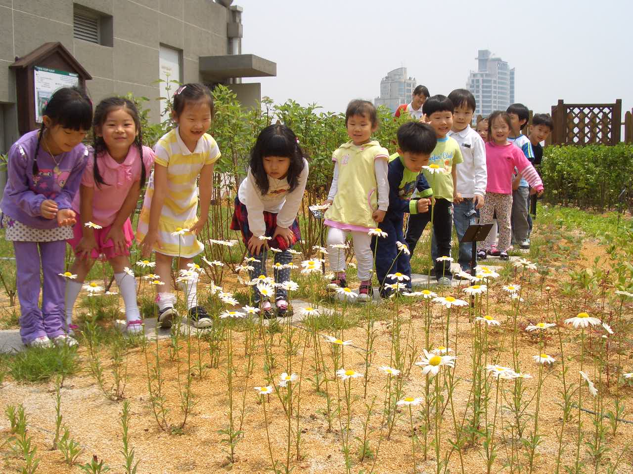 옥상공원