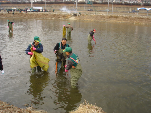 중랑천 청소(2)