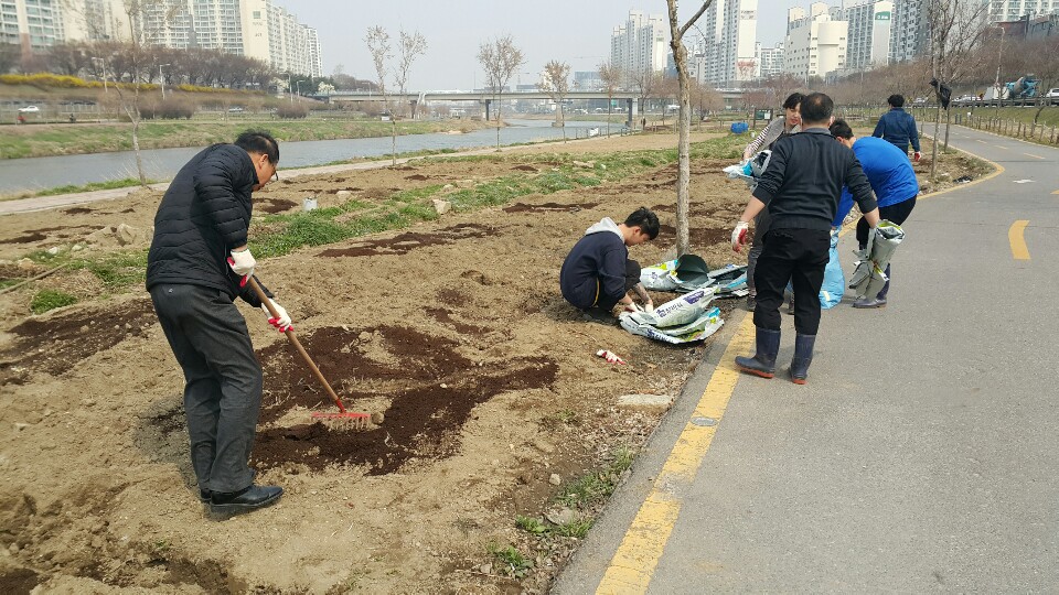 중랑천 텃밭에 비료 살포했습니다.(3월 27일)